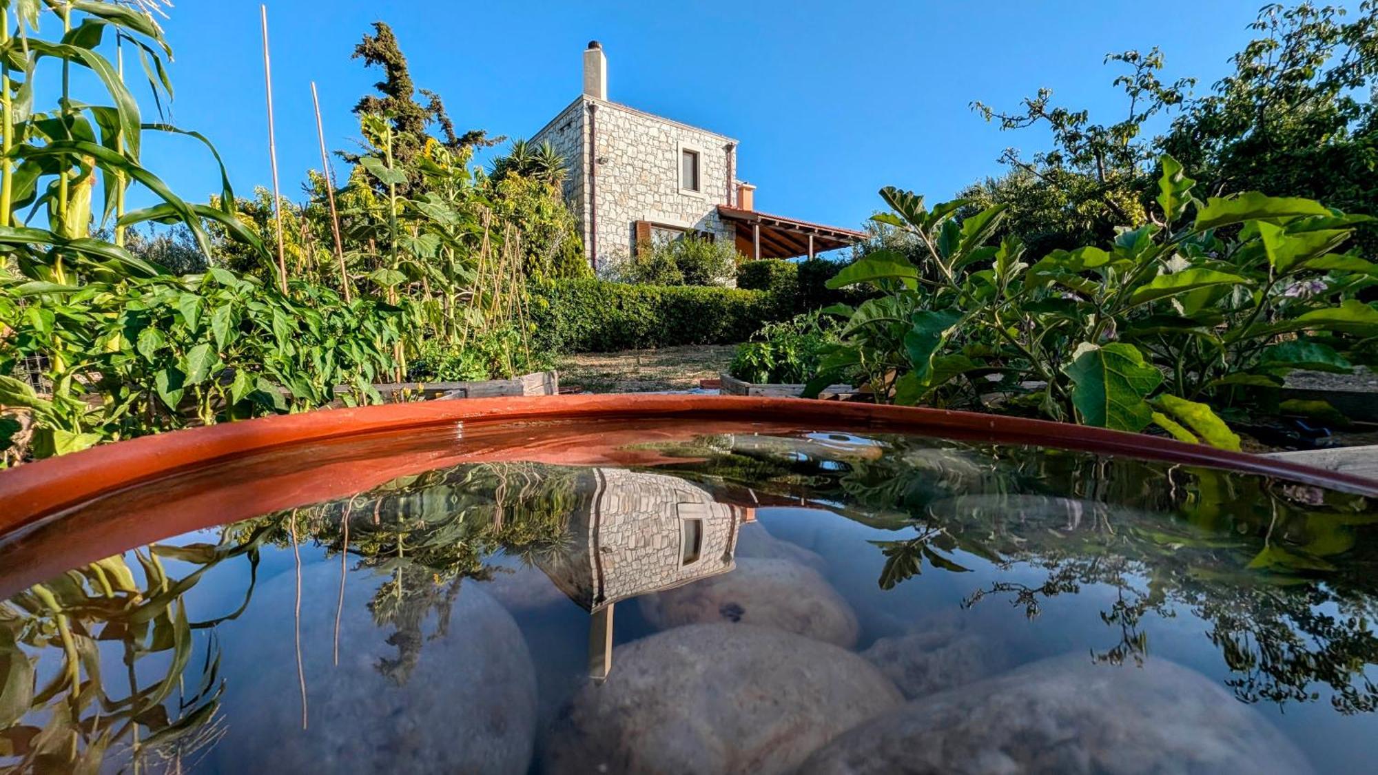 Villa Fyllosia Archanes Eksteriør billede